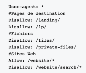 Experts en réparation de sites WordPress - La Clinique Wordpress Montréal robots txt image 03 300x256